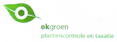 OK groen logo